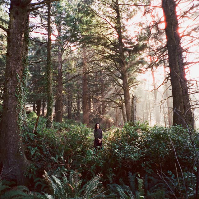 album art